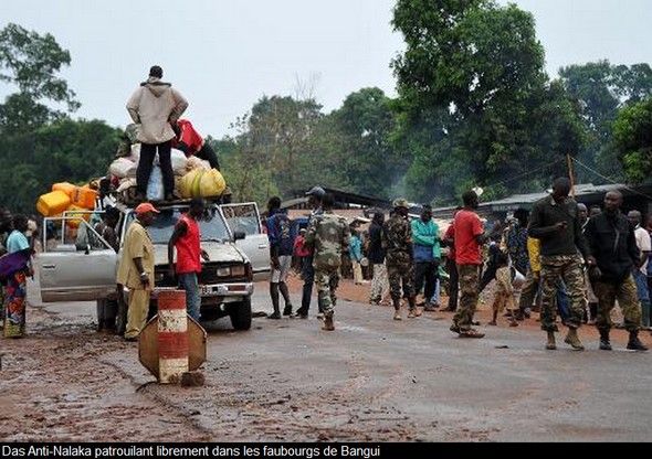 Enquête d’une experte du CDH sur les violences en Centrafrique