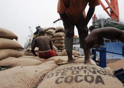 La production de cacao en Côte d’ivoire, meilleure que prévue