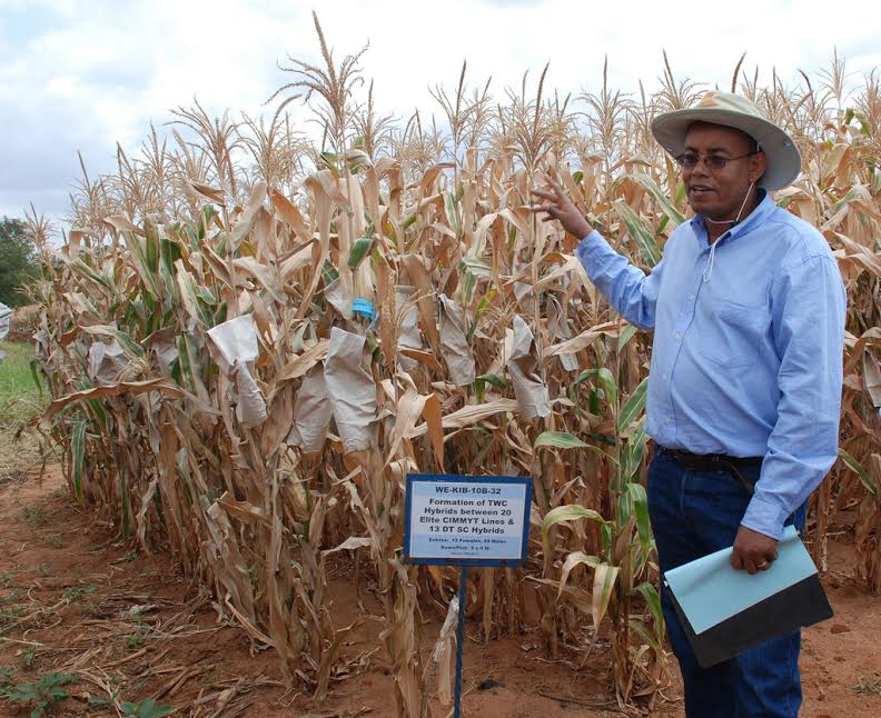 Afrique : La clé du développement dans les nouvelles technologies agricoles