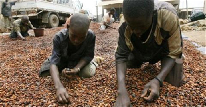 La Côte d’Ivoire relève les prix de son café
