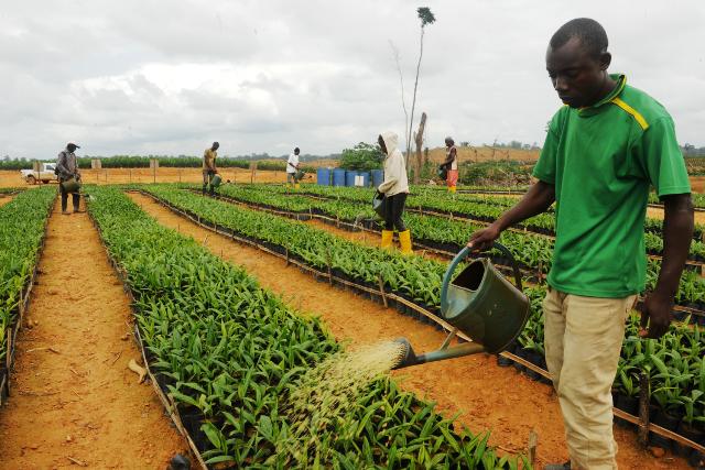 Le Gabon lance un programme agricole pour les jeunes