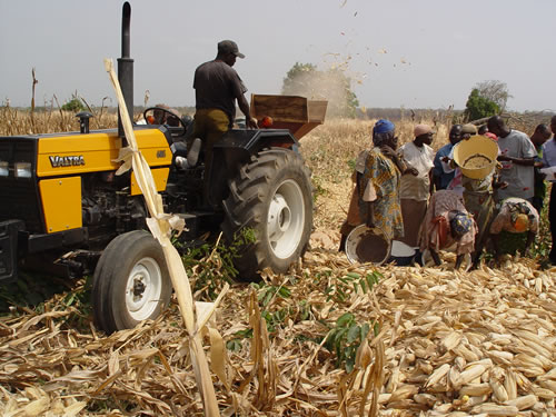 Le Nigeria opte pour l’agriculture comme alternative au pétrole
