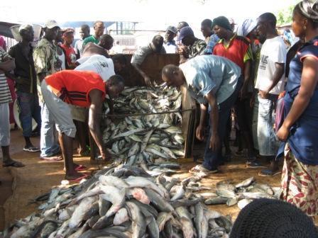 Nouakchott et Dakar augmentent les licences de pêche
