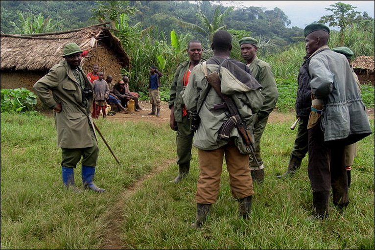 RDC : Les rebelles rwandais du FDLR lourdement armés signalés à Mambassa en Ituri