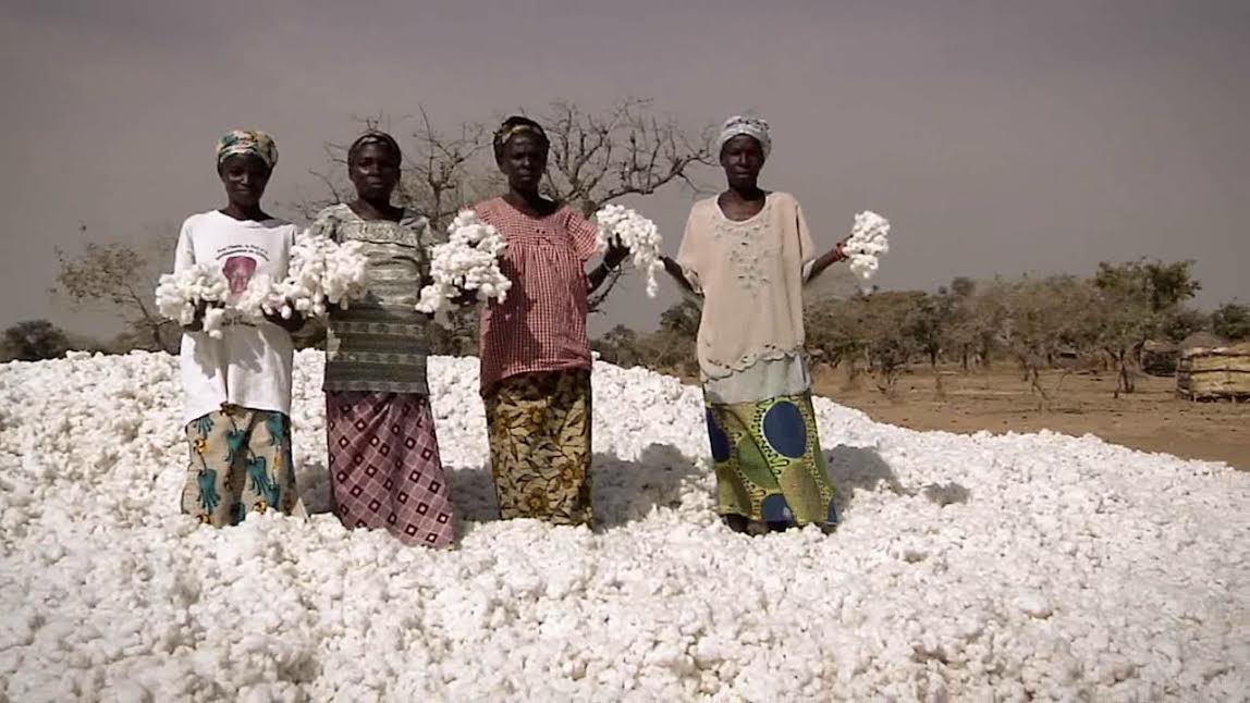 Le Burkina Faso table sur une production de coton de 800.000 tonnes