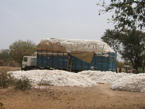 Cameroun : SODECOTON ajoute 7% aux transporteurs qui bravent Boko Haram