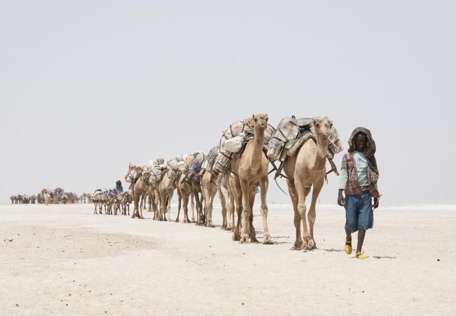 L’Ethiopie, «meilleure destination touristique» du monde