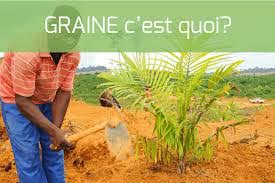 Gabon-Agriculture : Sotrader signe un contrat de 140 millions $ avec Caterpillar