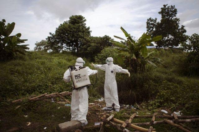 OMS : Aucun cas d’Ebola en Afrique de l’Ouest durant une semaine