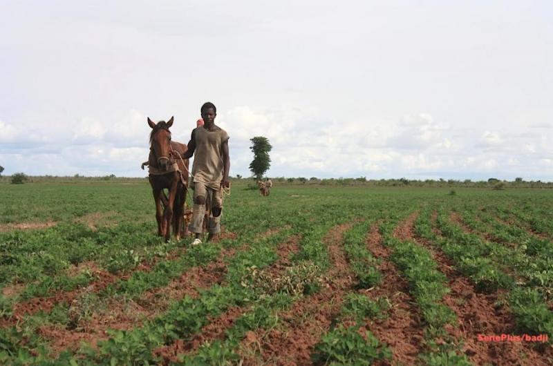 La BAD octroie 1,4 milliard de dollars au Sénégal