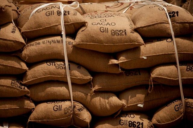 Les producteurs ivoiriens de cacao portent plainte contre la mauvaise gestion de la filière