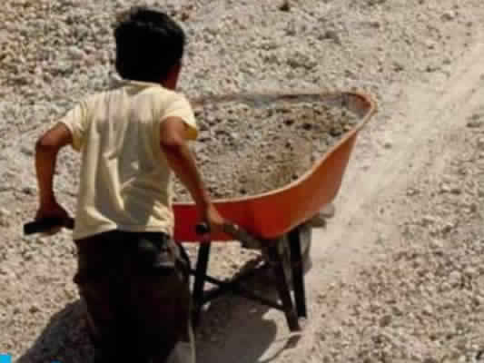 La Tunisie lance un projet contre le travail des enfants mineurs