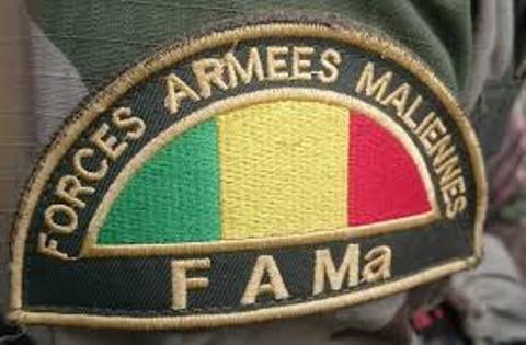 L’armée malienne dans le collimateur de la FIDH