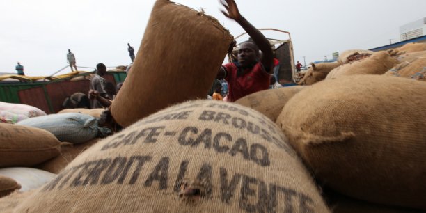Cacao : la Côte d’Ivoire et le Ghana définissent un plan stratégique commun