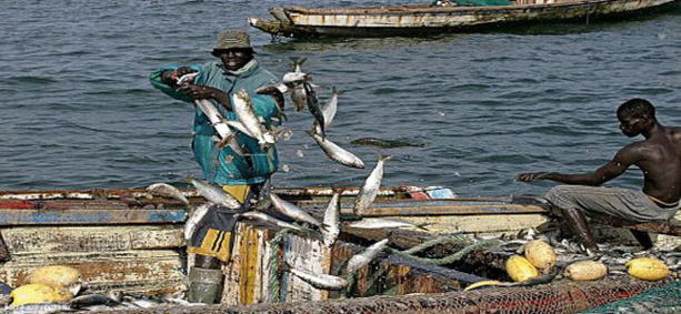 Mauritanie-Sénégal : Signature à Nouakchott d’un nouvel accord de pêche