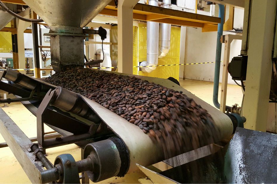 La Côte d’Ivoire compte transformer localement 50% de sa production de cacao d’ici 2020