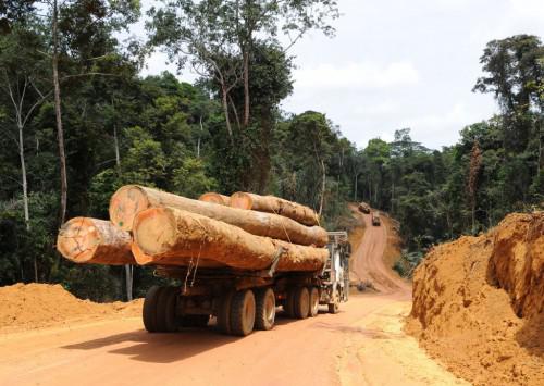 Les entreprises forestières au Gabon dans le collimateur des villageois