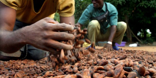La Banque mondiale appuie les secteurs ivoiriens du cacao et de l’anacarde