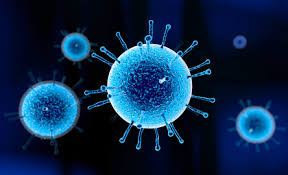 Maroc : La situation épidémiologique de la grippe saisonnière ne suscite aucune inquiétude