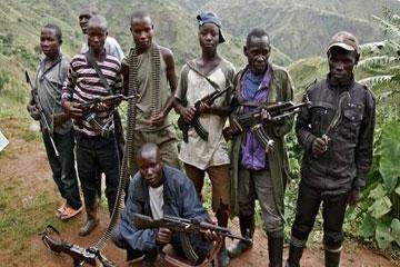 RDC : 600 rebelles déposent les armes après l’investiture de Tshisekedi