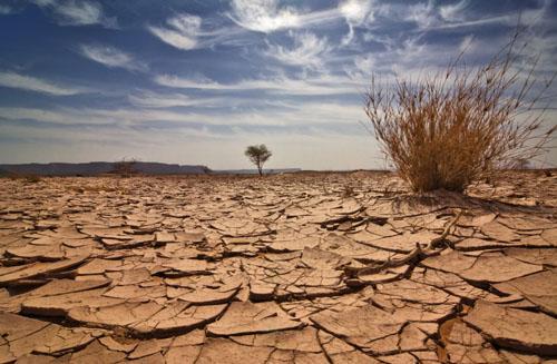 Les experts africains réfléchissent à Niamey sur l’accélération du changement climatique