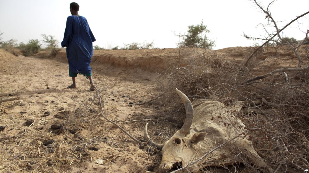 Niger: Sommet sur le réchauffement climatique au Sahel