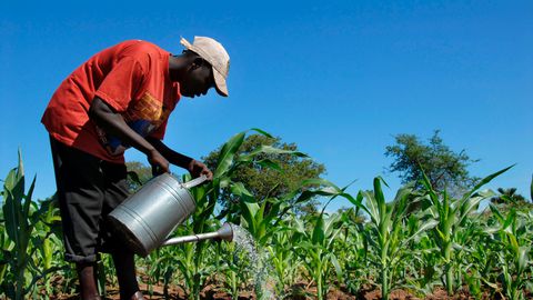 Cap-Vert : Ouverture à Praia du 1er Forum international sur la pénurie d’eau dans l’agriculture