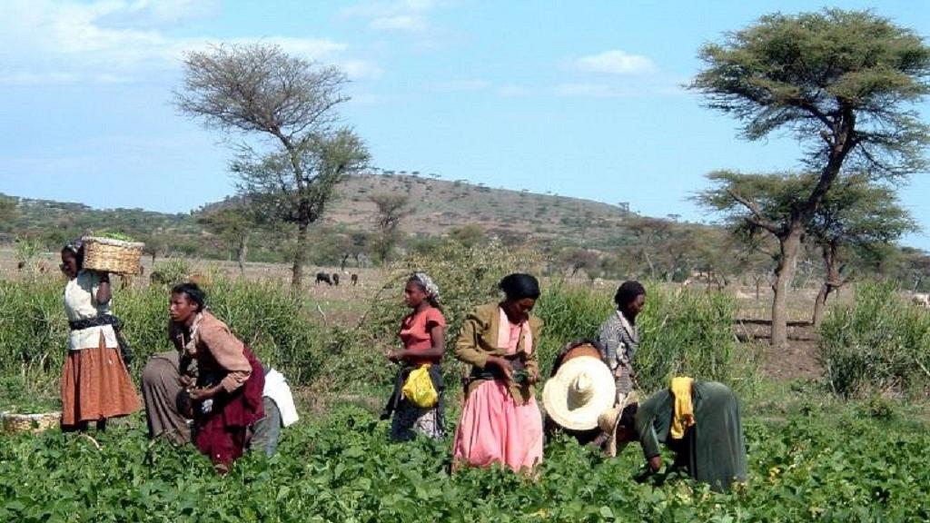 Au moins 17 victimes des violences intercommunautaires ce week-end en Ethiopie