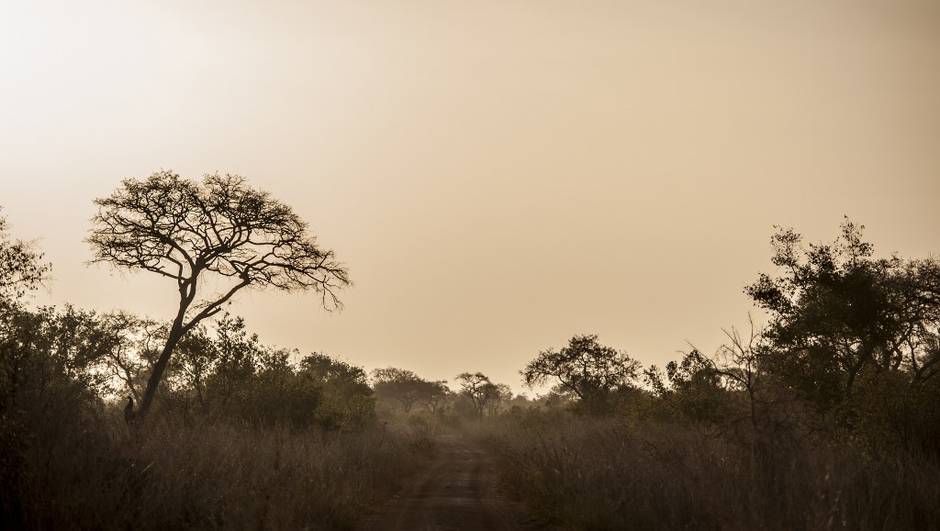 Sahel : L’inquiétante situation sécuritaire au Bénin