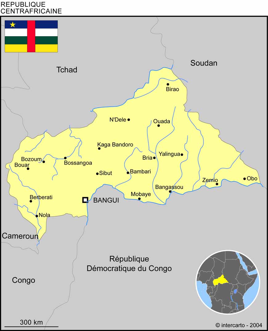 Deux foyers de poliomyélite détectés en Centrafrique