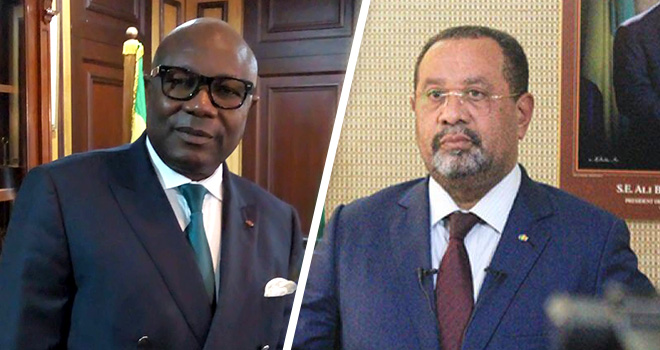 Gabon : Bongo limoge le vice-président et le ministre des Forêts