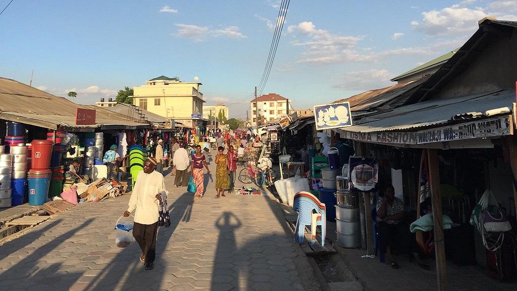 Tanzanie en état d’alerte après l’apparition du virus Ebola en Ouganda