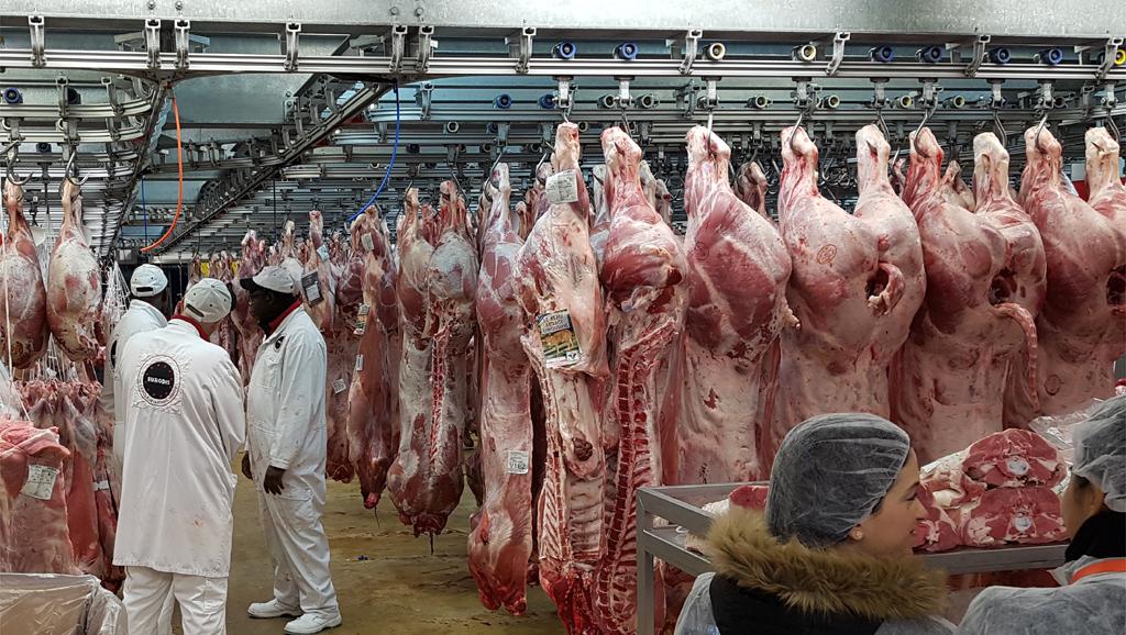 L’Afrique du Sud autorisée de nouveau à exporter son bœuf vers la Chine