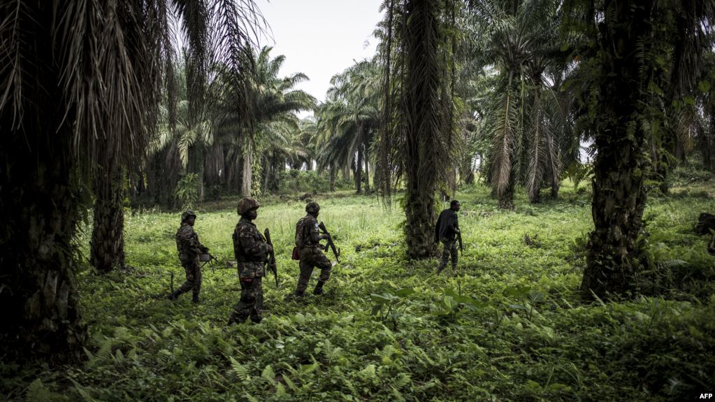 RDC : 12 morts dans deux attaques de présumés milices ougandaises à Beni