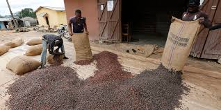 La Côte d’Ivoire va réduire sa production de Cacao à 2 millions de tonnes