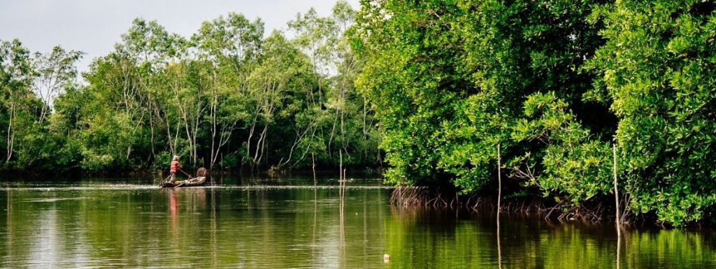 Adoption de 4 protocoles pour la protection des milieux marins et côtiers en Afrique