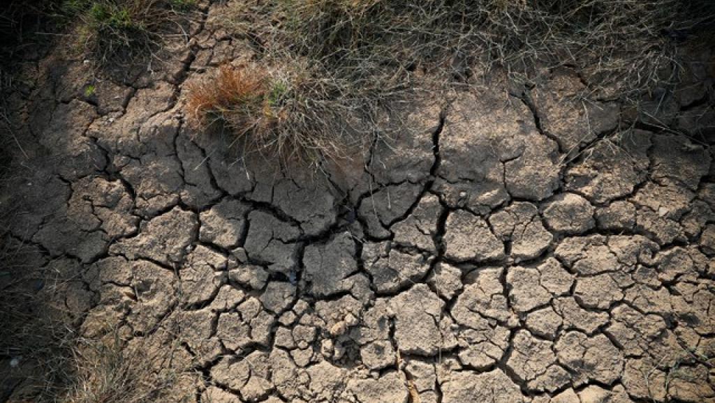 Guterres estime que l’Afrique «ne contribue quasiment pas au changement climatique»
