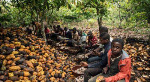 Le Ghana et la Côte d’Ivoire déterminés à bannir le travail des enfants