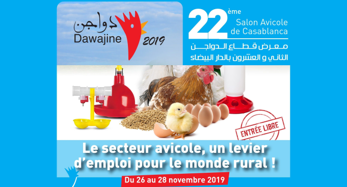L’aviculture constitue un levier pour l’emploi au Maroc