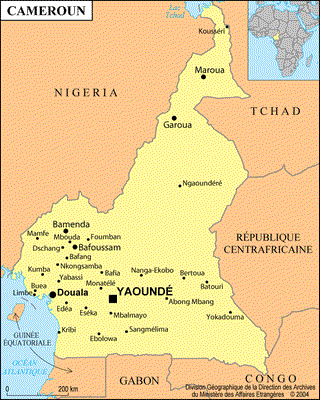 Cameroun : Le FMI prévoit «un risque élevé de surendettement»