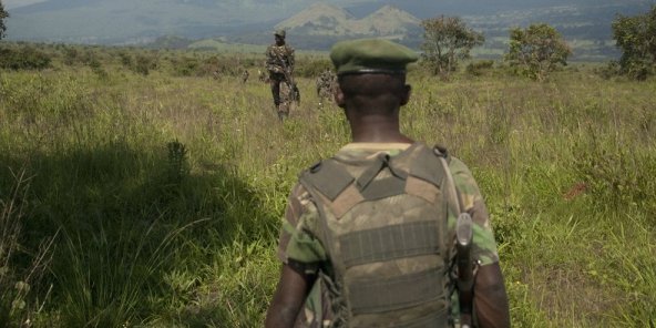 RDC : Soixante soldats tués dans des offensives contre des ADF à Béni