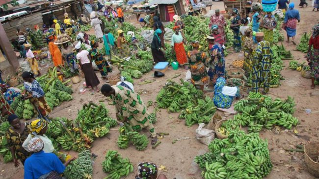 Afrique de l’Ouest : Le pastoralisme et la transhumance en faveur de la sécurité alimentaire