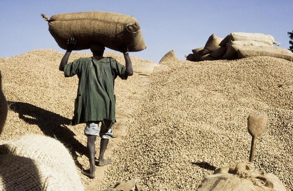 Le Sénégal suspend l’exportation de son arachide