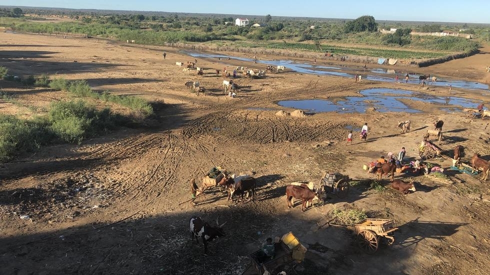 Madagascar-Sécheresse : 500.000 personnes souffrent d’insécurité alimentaire