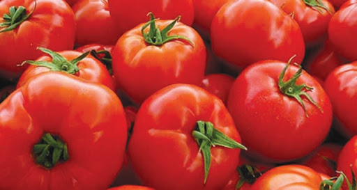 Algérie-Agroalimentaire : 2.500 agriculteurs de la filière tomate industrielle  jettent l’éponge