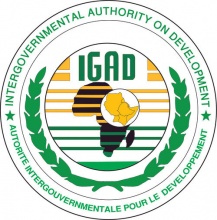 Covid-19: L’IGAD prépare une riposte contre la pandémie