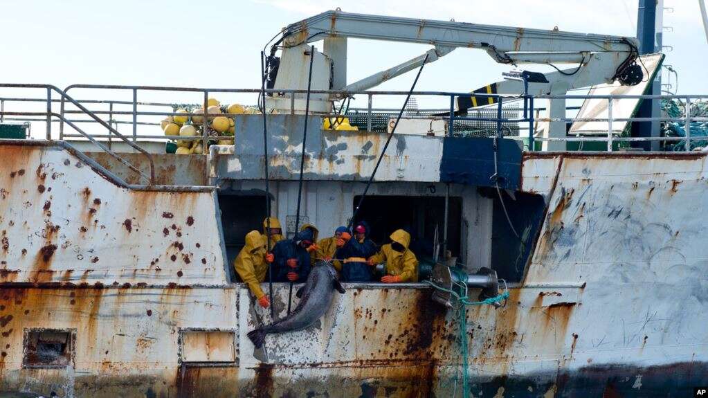 Covid-19: Les pêcheurs au Sierra Leone dénoncent la limitation du nombre des bateaux de pêche