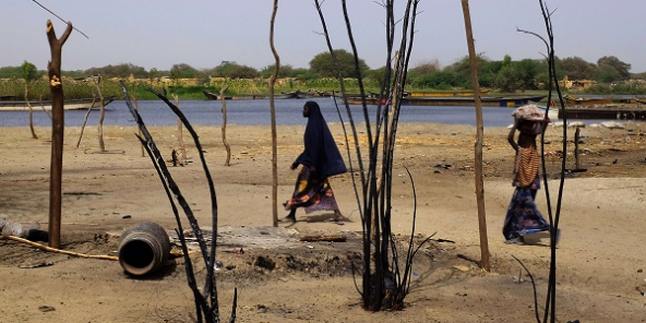La BM débourse 346 millions $ pour 2 projets de développement dans le Lac Tchad 