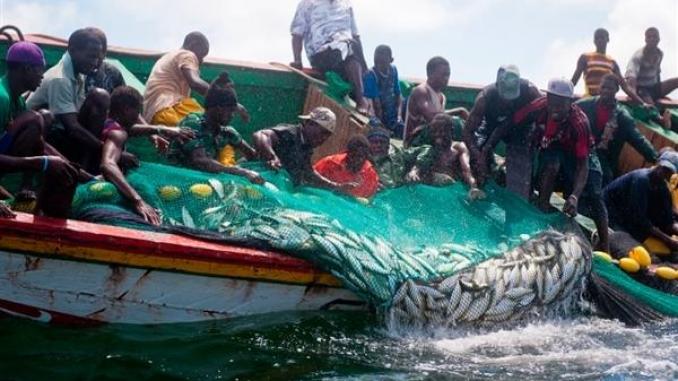 Mauritanie : Débats sur la relance des secteurs de l’agriculture et de la pêche