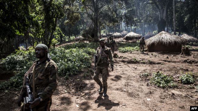 ONU : Les ADF ont tué près de 800 civils en 18 mois en RDC